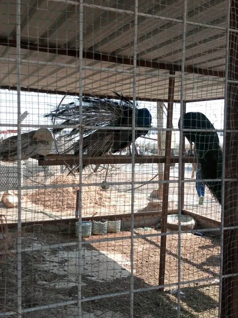 منتجع البصره السياحي