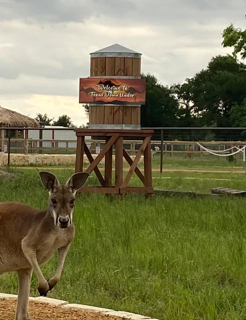 North Texas Safari Park