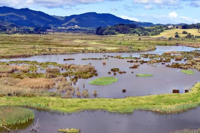 Urdaibai Bird Center