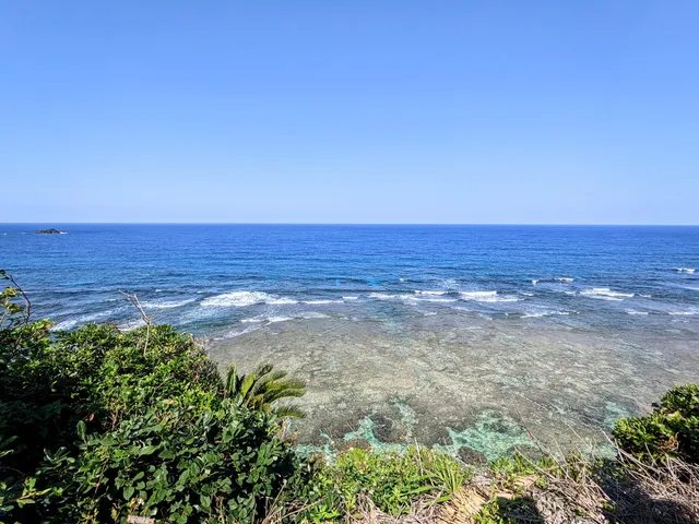 Sea Turtle Viewpoint