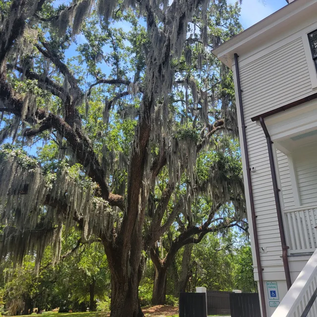 Charleston Naval Base Admiral's House