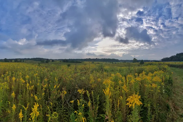 Tallmadge Meadows Area Metropark