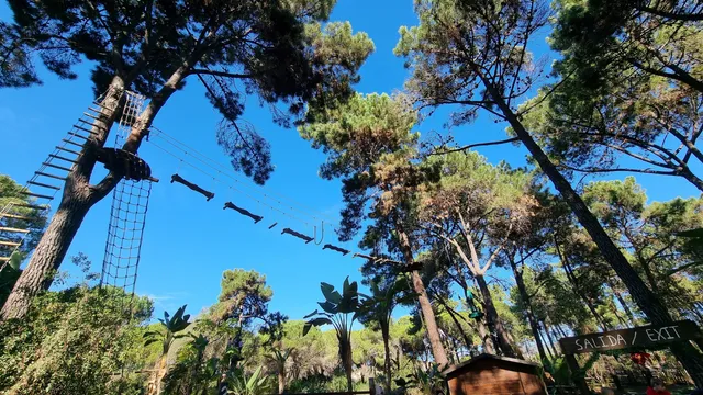 AVENTURA AMAZONIA MARBELLA. Parque de multiaventura y tirolinas para niños y adultos. Despedidas, Cumples y Teambuilding.