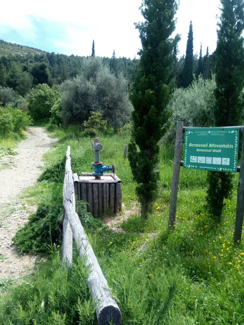 Botanical Garden Nursery