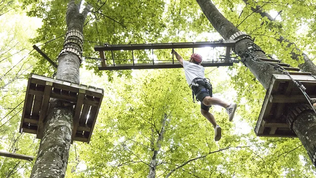 Boscopark Adventure Park