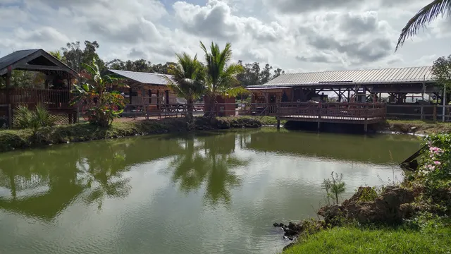 Southern Fresh Farms