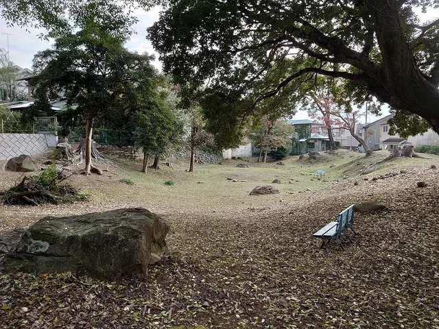 Haya River Mouth Remains
