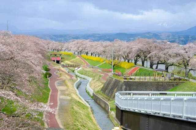 Shiroishigawa Senbonzakura Park