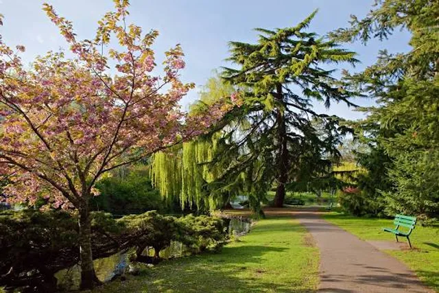 Beacon Hill Park
