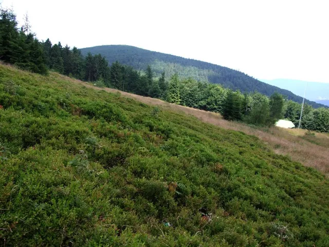 Wierch nad Kamieniem