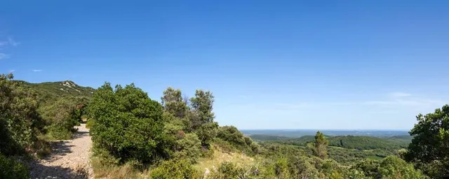 Parking Pic Saint Loup