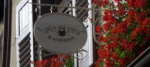 Katzinett - Katzenmuseum Ludwigshafen