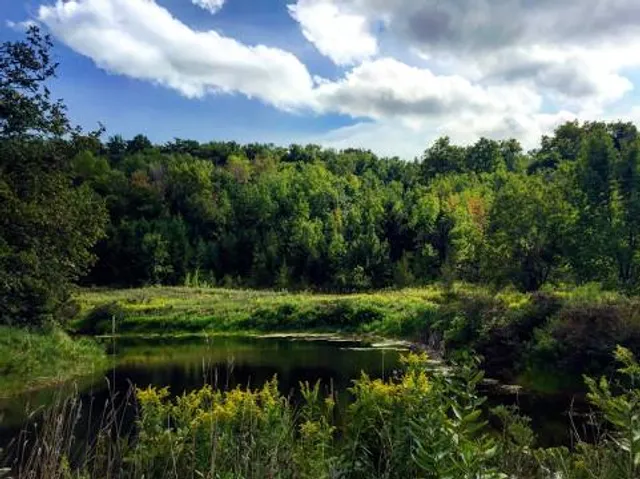 McCauley Mountain Ski & Mountain Bike Center