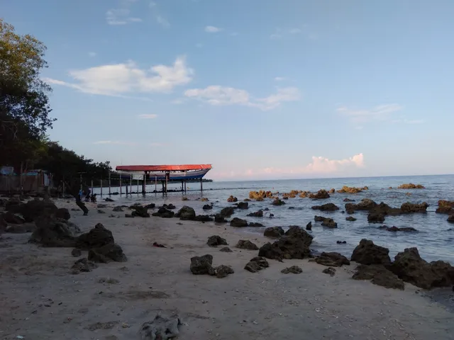 Laude's Ark and Bay Resort