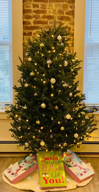 Brooklyn Christmas Tree