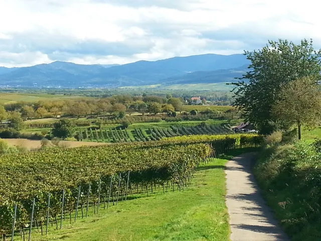 Ferienwohnung Opfingen - Familie Müller