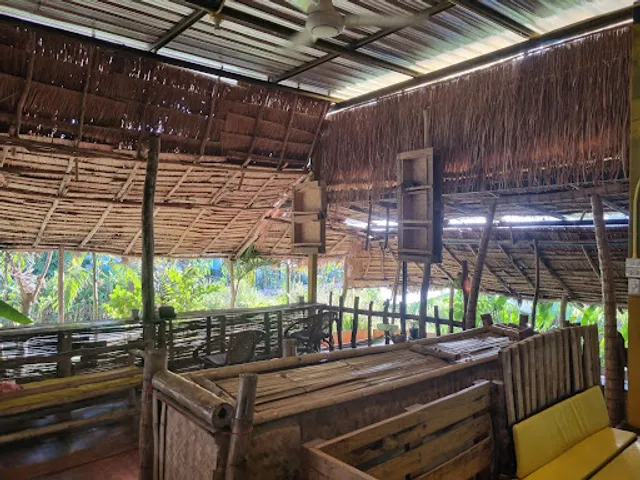 Bechegu Coffee @ King Mengrai Camp plant nursery