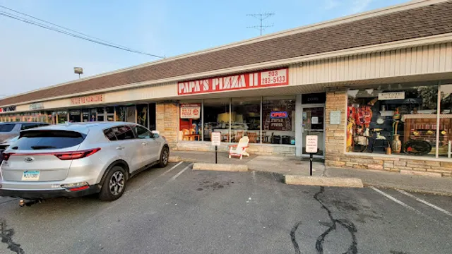 Papa's Pizza II