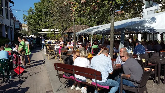 Deidesheimer Stuben Grill & BBQ