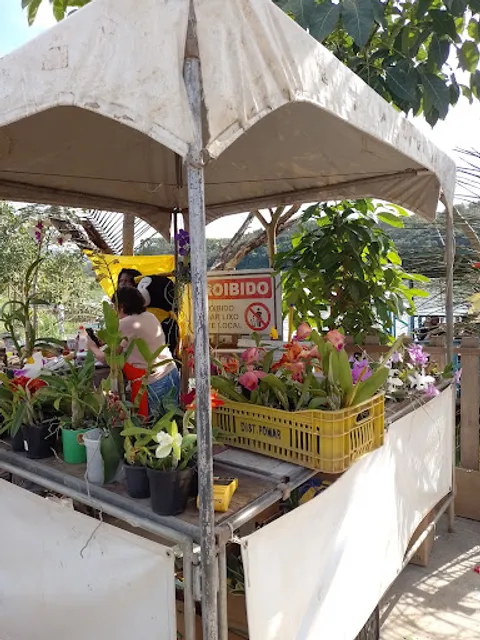 Restaurante Recanto da Tilápia