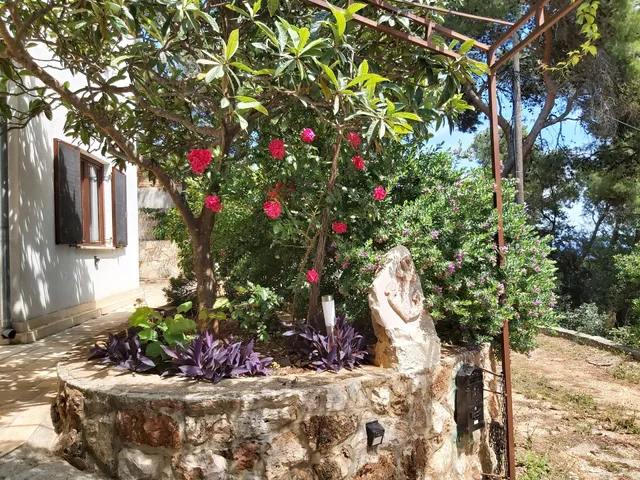 Villa Pelegrin | Zavala, Island Hvar