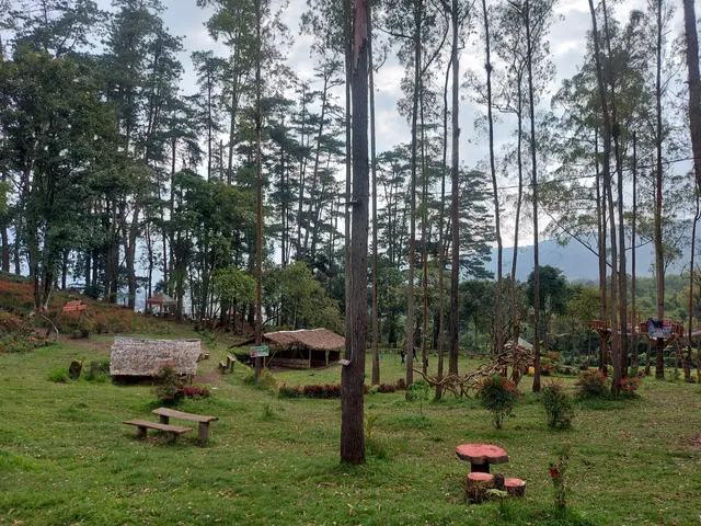 PUNCAK TANGKE TABU