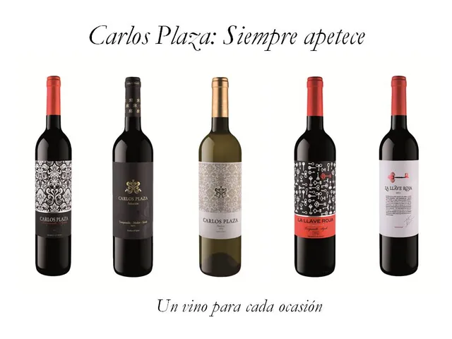 Solana de los Barros