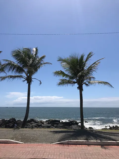 Costão dos náufragos