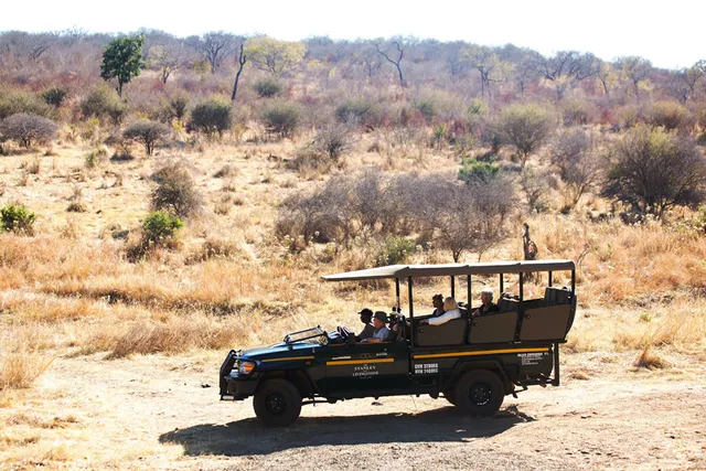 Game Drives Victoria Falls