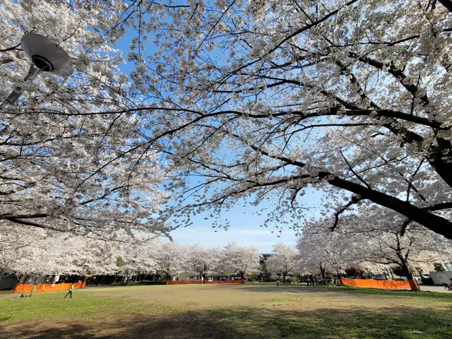 Katsusehara Memorial Park