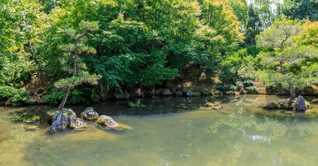 Japanese Garden of Contemplation