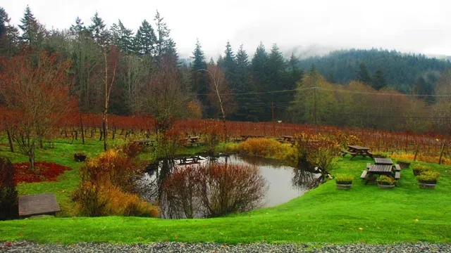 Salt Spring Vineyards & Tasting Room