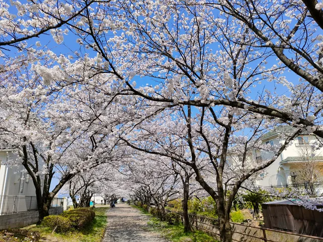 Shimonogoshiseki Park