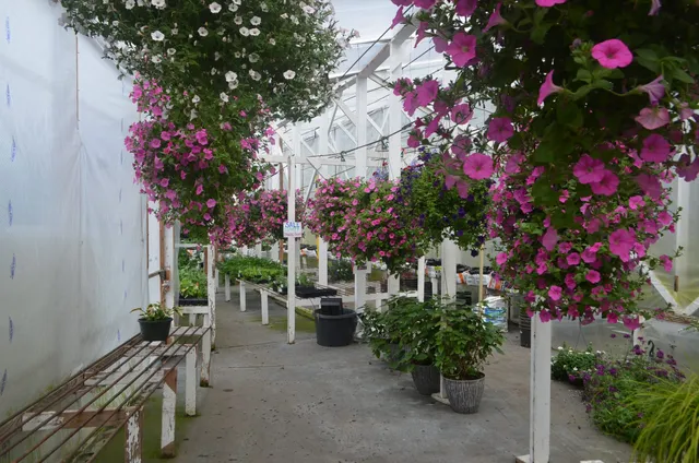 Glacier Gardens/Yard Doctor