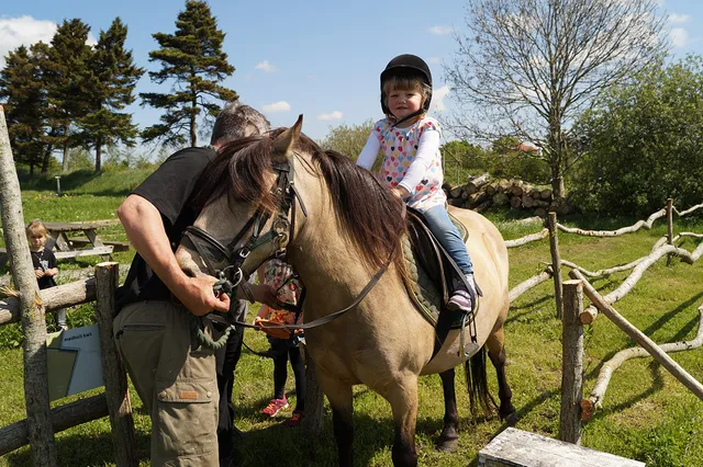 Nymarksminde Farmpark