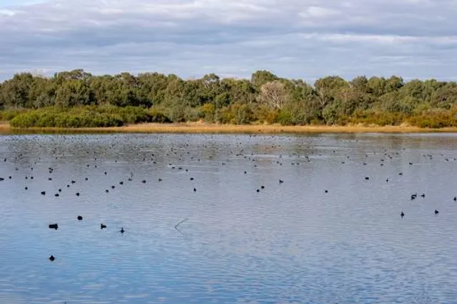 Bibra Lake Reserve