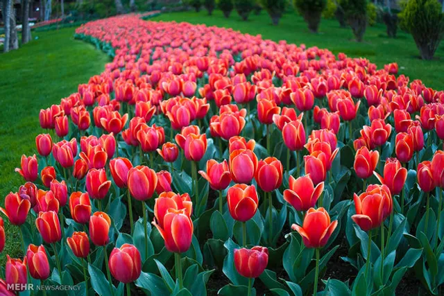 Karaj Flowers Garden