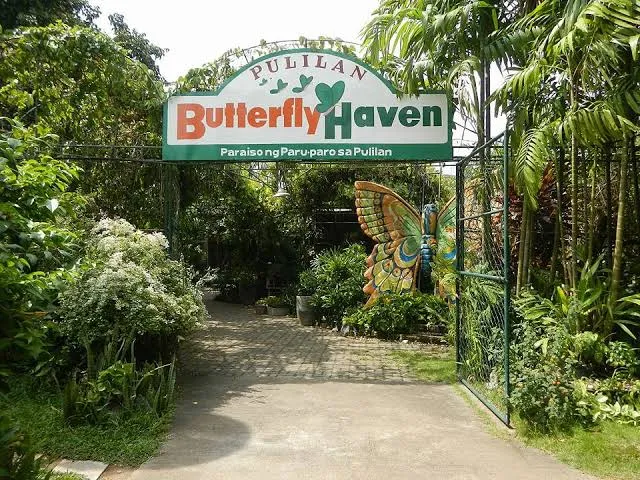 Pulilan Butterfly Haven