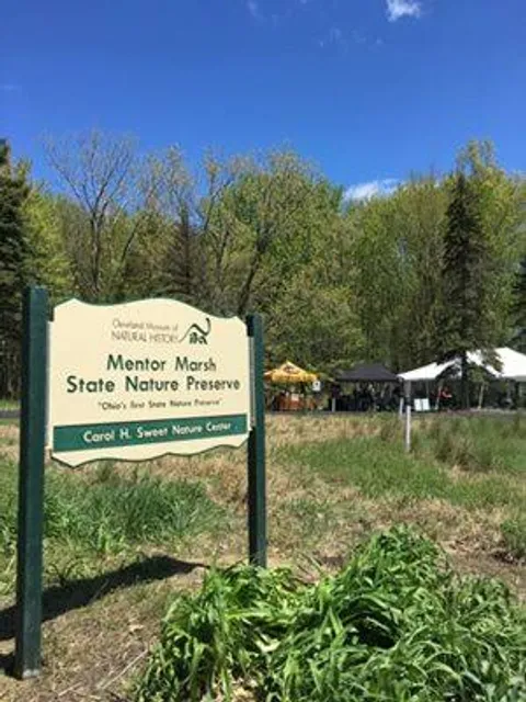 Mentor Marsh