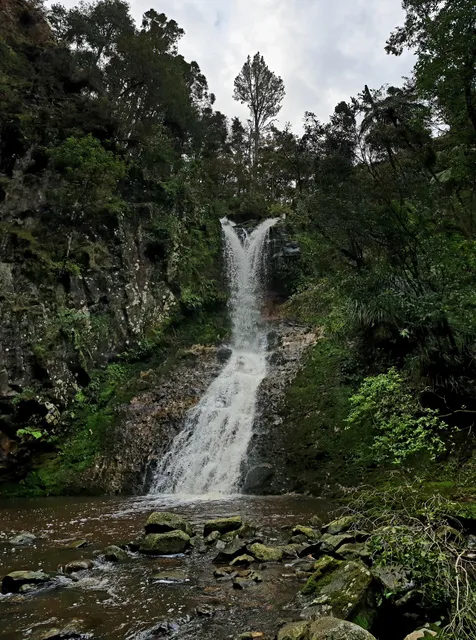 Paranui Falls Lookout