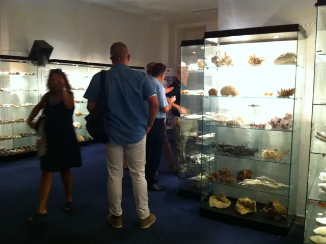 Museo della Conchiglia e del Corallo