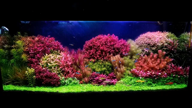 Future Light Brasil - Luminárias Aquário Plantado e Marinho