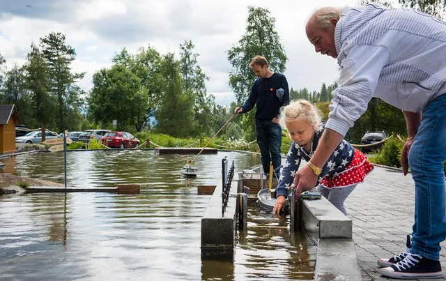 Aktivitetsparken i Eidsborg