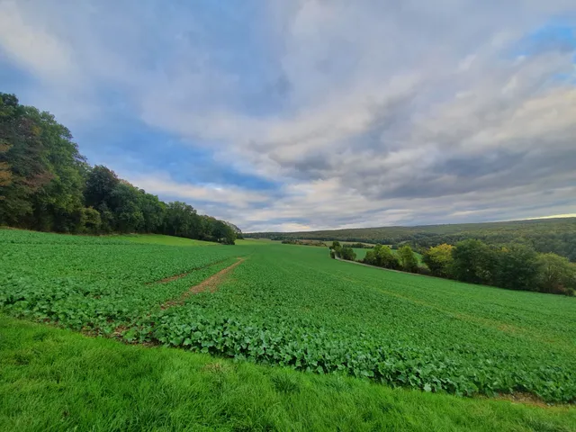 "Bratental" Nature Reserve