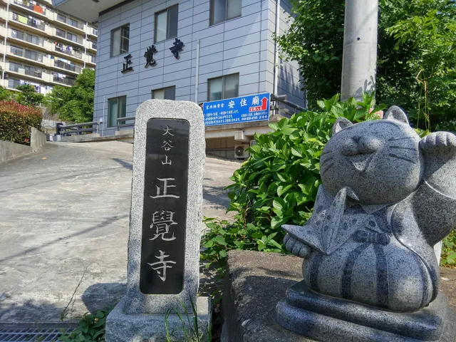 photo-2