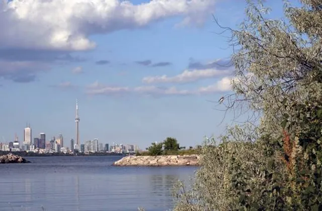 Humber Bay Park East