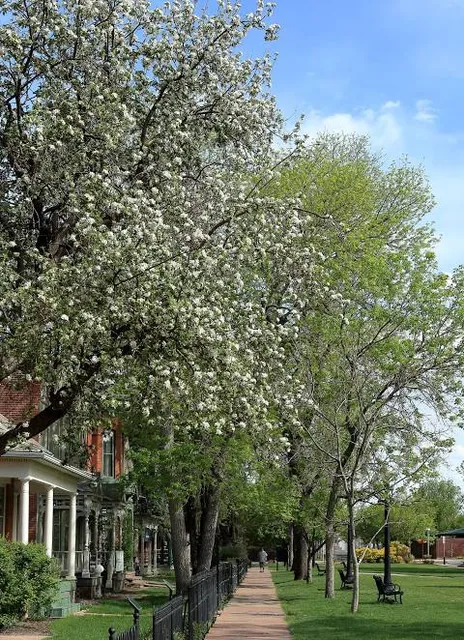 Ninth Street Historic Park
