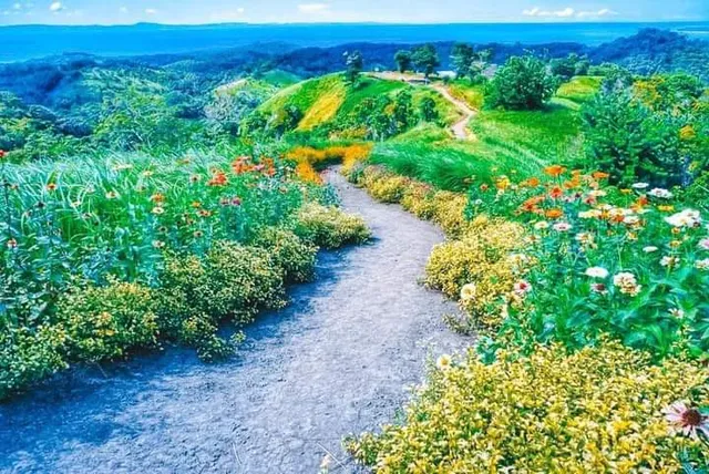 Bukit Piniapat Pitas - PINIAPAT HILL ECO TOURISM