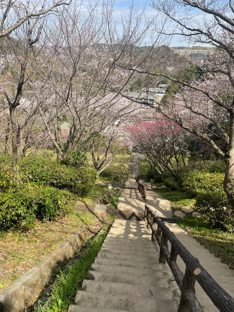 Sakurayama Central Park