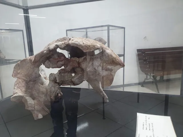 Museum Daniel Cargnin